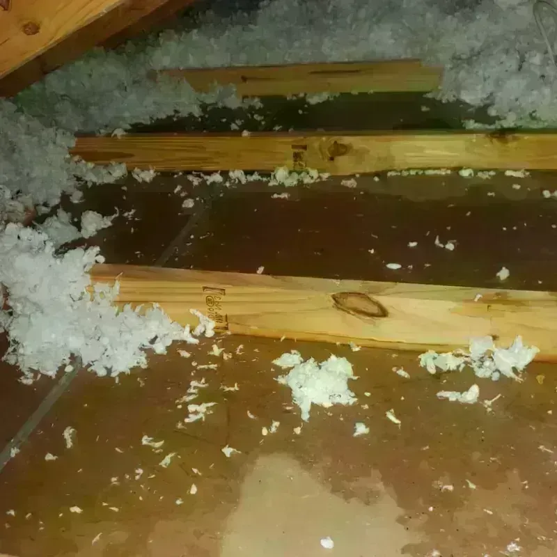 Attic Water Damage in Irwindale, CA