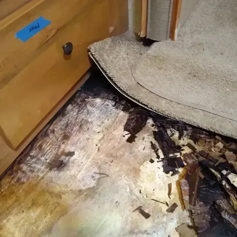 Wood Floor Water Damage in Irwindale, CA